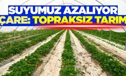 Topraksız tarım, seçenek değil zorunluluktur