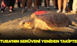 Tuba'nın yolculuğu yeniden takipte
