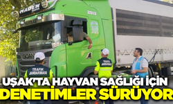 Uşak'ta hayvan sağlığı için denetimler devam ediyor
