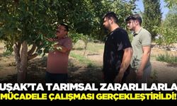 Ege'de tarımsal zararlılarla mücadele kapsamında saha çalışması!