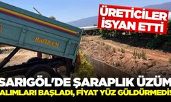 Alaşehirli üretici isyan etti: "Üzümün fiyatı düştü, sesimizi duyan yok"