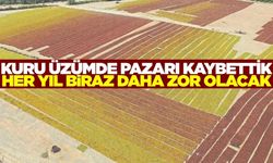 Üzüm üreticilerini zor günler bekliyor