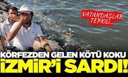 Vatandaşlar tepkili: İzmir'in kabusu geri döndü!
