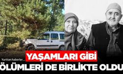 Yaşlı çift aynı kazada hayatlarını kaybetti