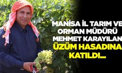 Yeni İl Müdürü Karayılan, üzüm hasadına katıldı
