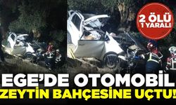 Ege'de ölümlü kaza: 2 kişi hayatını kaybetti
