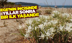 1980'lerde görülüyordu: Ege'nin incisinde yıllar sonra bir ilk yaşandı!