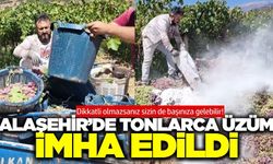Alaşehir’de yasaklı ilaç Kullanımı tespit edilen üzümler imha edildi