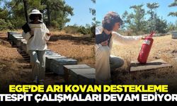 Muğla'da arı kovan destekleme tespit çalışmaları sürüyor!