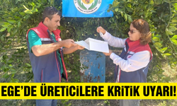 Aydın'da turunçgil üreticilerine uyarı!