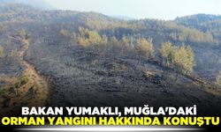 Muğla'daki yangınla ilgili Bakan Yumaklı'dan açıklama!