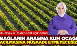 Buldan'da kum ocağı tartışması: “Üzüm bağlarımız yok olacak”
