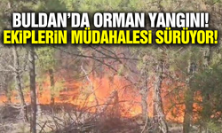 Buldan'da orman yangını!