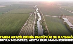 Ege'de tarımın can damarı: Kuraklığın etkileri sürüyor