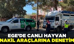 İlçede canlı hayvan nakil araçlarına denetim!