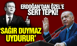 Erdoğan'dan Özgür Özel'e: "O İşlerden Anlamaz, Onun Kıratı Değil"