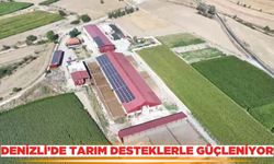 Denizli'de tarım, desteklerle her geçen gün daha da güçleniyor
