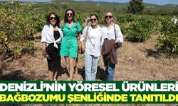 Denizli'de 3. Bağbozumu ve Yöresel Ürünler Şenliği