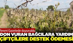 Resmileşti... Zirai don mağduru çiftçilere ödeme yapılacak