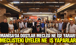 Dostlar Meclisi ne işe yarıyor?