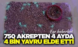 Ege'de akrep zehri üretiminde büyük başarı