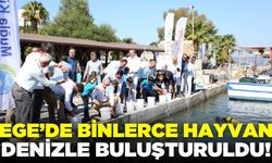 Ege'de binlerce çipura denizle buluşturuldu!