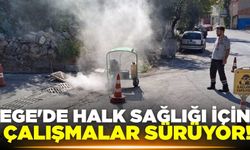 Ege'de çevre ve halk sağlığı için çalışmalar sürüyor