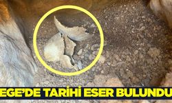 Ege'de su deposu çalışmasında tarihi eser bulundu