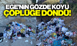 Ege'nin doğa harikasına yakışmayan görüntü!