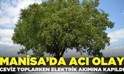 Manisa'da Ceviz Toplarken Elektrik Akımına Kapılan Kişi Ağır Yaralandı