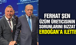 Ferhat Şen, üzüm üreticisinin sorunlarını Erdoğan'a iletti!