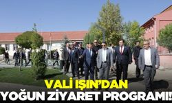 Vali Işın, yürütülen projeler ve yatırımları inceledi