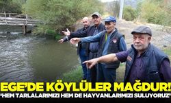 Ege'de köylüler mağduriyet yaşamaya devam ediyor!