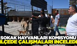 Sokak hayvanları komisyonu Kula'da incelemelerde bulundu