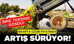 Iskarta üzüm fiyatında artış devam ediyor