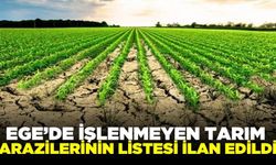 Ege'de boş duran tarlalar ilan edildi!