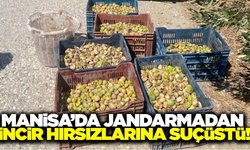 Manisa'da incir hırsızları suçüstü yakalandı: 4 gözaltı