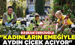 Aydın'da kentin dört bir yanı çiçeklerle süslenmeye devam ediyor