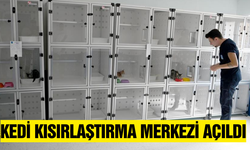 Kuşadası Belediyesi,  Kedi Kısırlaştırma Merkezi açtı