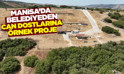 Belediyeden örnek proje: Klasik barınak anlayışı tarihe karışıyor