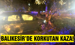 Kontrolden çıkan otomobil bahçeye girdi: 1 yaralı