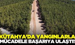 Kütahya'da 3 yılda orman yangını sayısı 120'den 52'ye düştü