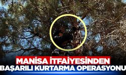 Manisa itfaiyesi kediyi kurtardı