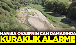 Manisa Ovası'nın can damarı kurudu