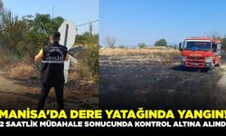 Manisa'da çıkan ot yangını, 2 saatlik mücadele sonrası söndürüldü