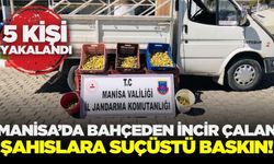 Manisa'da incir çalan 5 kişi suçüstü yakalandı