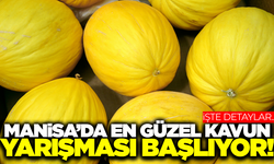 Manisa'da en güzel kavun yarışması başlıyor!