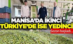 Manisa'da erken hasat başladı