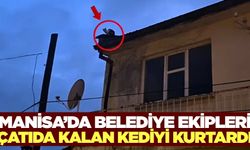 Manisa'da örnek kedi kurtarma operasyonu