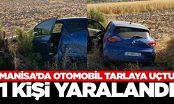 Manisa'da otomobil tarlaya savruldu! 1 yaralı